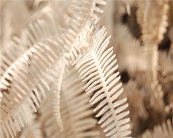 空氣改善需要靠污染源才能進行轉移，這個真不能這樣下結論